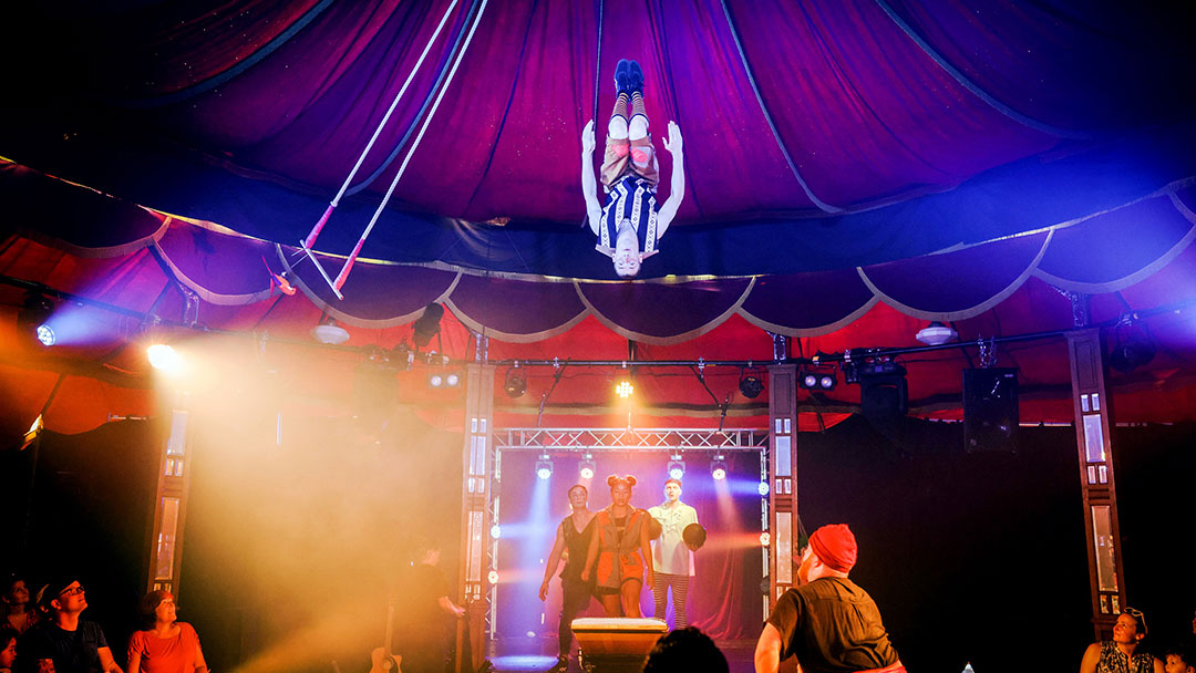 Circus Wonderland at Horizon Festival Sunshine Coast