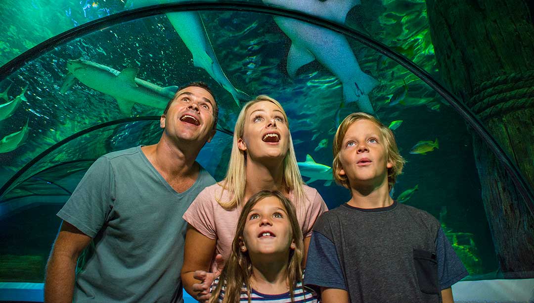 Family in the Ocean Tunnel at Sea Life Sunshine Coast
