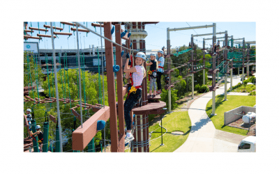 Win a Family Pass to Next Level High Ropes