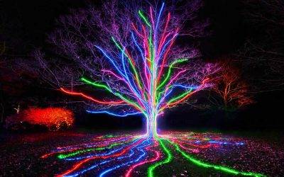 WIN: A Family Pass to Lightscape in Brisbane
