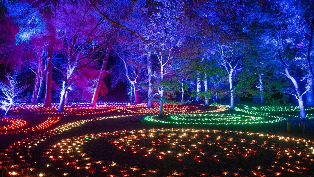 Lightscape Brisbane 2023 Will Showcase the Gardens Like No Other