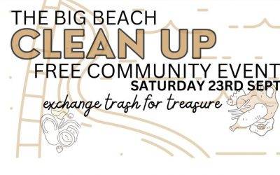 The Big Beach Cleanup