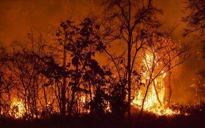 Are you ready for bushfire season?