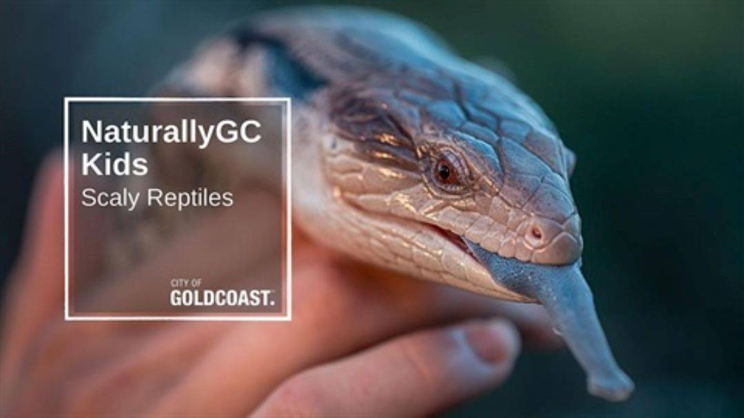Naturally Gc Scaly Reptiles