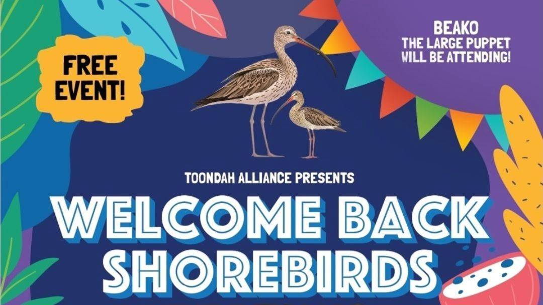 Welcome Back the Shorebirds Festival