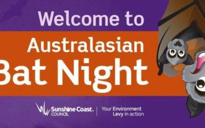 Australasian Bat Night 2023