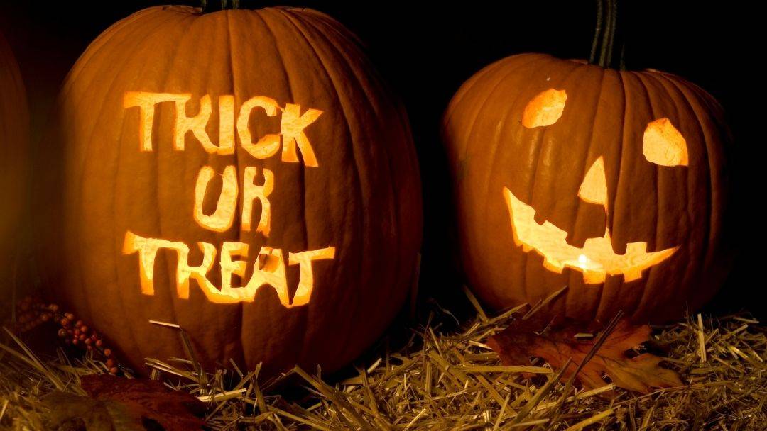 Halloween Trick or Treat at Everton Plaza
