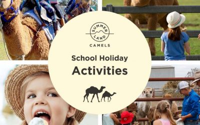 School Holiday Activities @ Summerland Camels