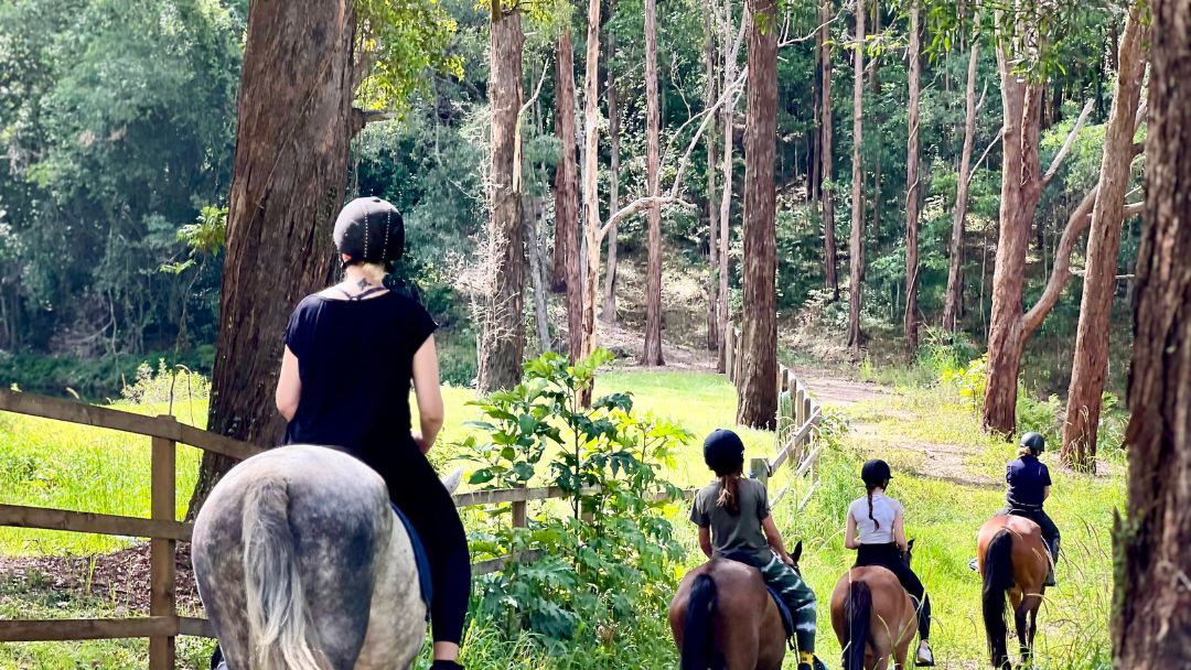 Summer Riding Adventures and Fun at Unity Equestrian