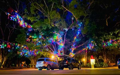 Sunshine Coast Christmas Lights