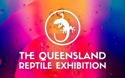 Queensland Reptile Exhibition