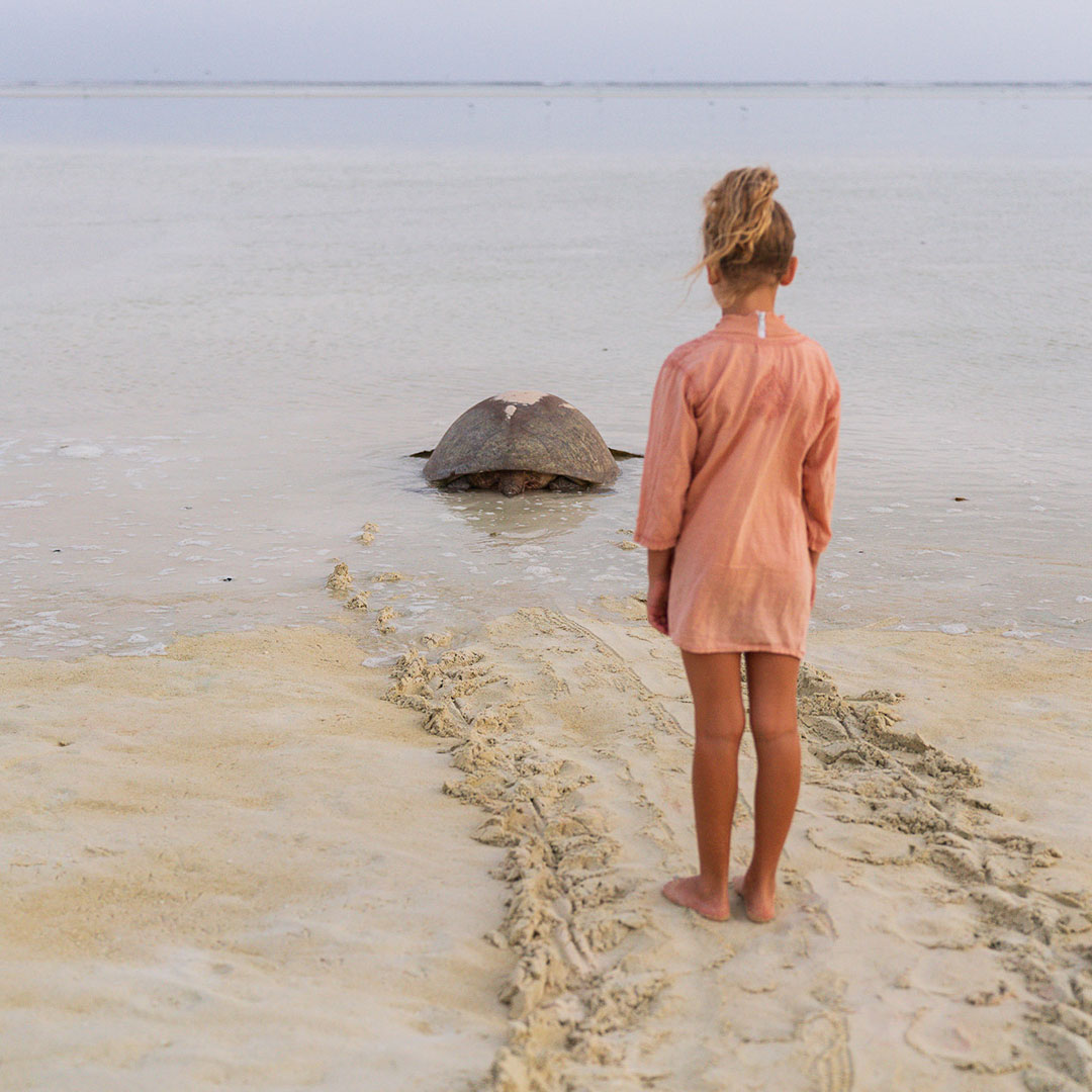 Girl Watching a Sea Turtle at Heron Island Queensland