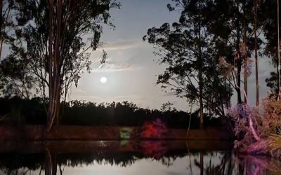 5 BEST camping spots for families in SE QLD