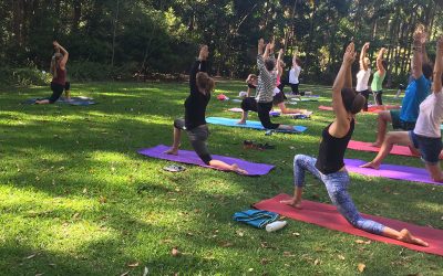 Free yoga and more activities in the park for Parks Week