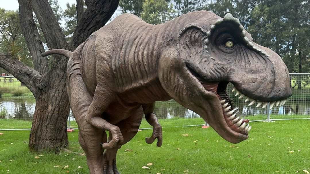 Dinofest at Country Paradise Parklands
