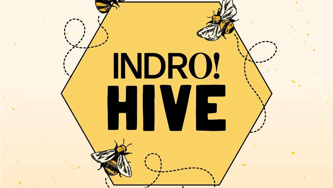 Indro Hive