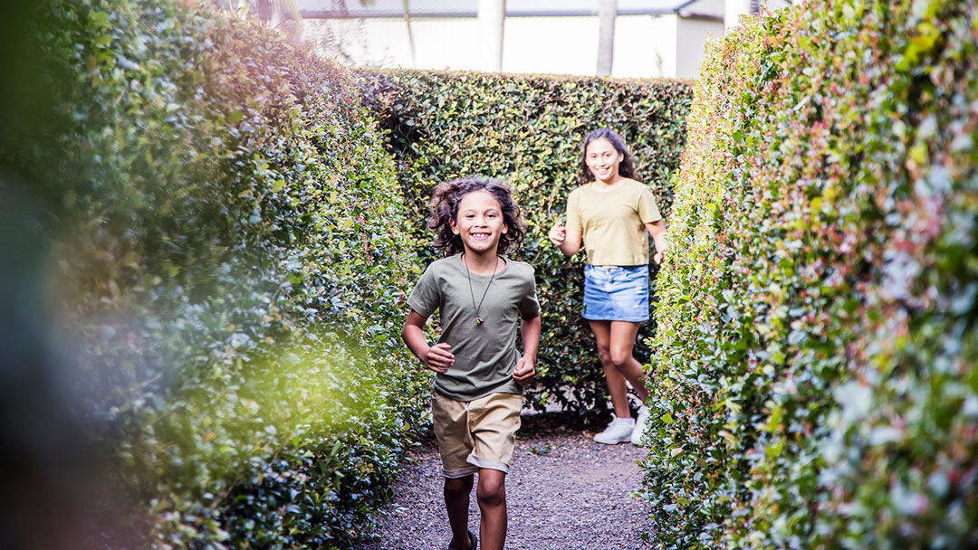 Kids Running in the Giant Hedge Maze at Amaze World Sunshine Coast Formerly Bellingham Maze