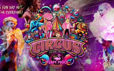 Circus Fun House – The Show