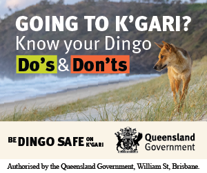 Dept of Environment Dingo campaign
