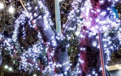 Tugun Lights Up
