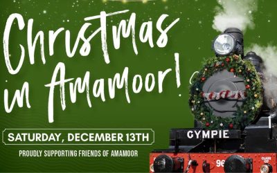 Christmas Twilight Train: Christmas in Amamoor