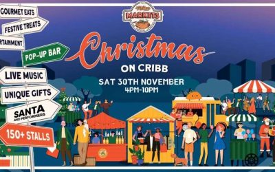 Milton Christmas Twilight Markets