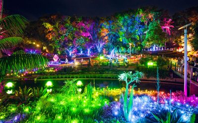 The Enchanted Garden