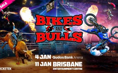 Bike & Bulls