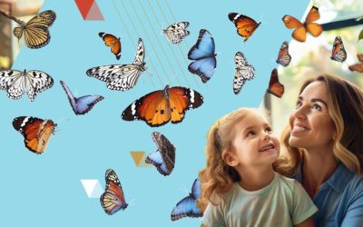 Butterfly House