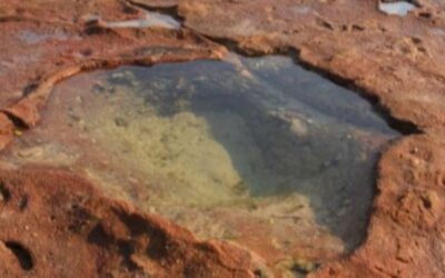Rock Pool Trinket Dishes