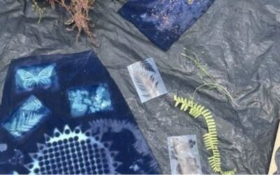 Kids Cyanotype Lab