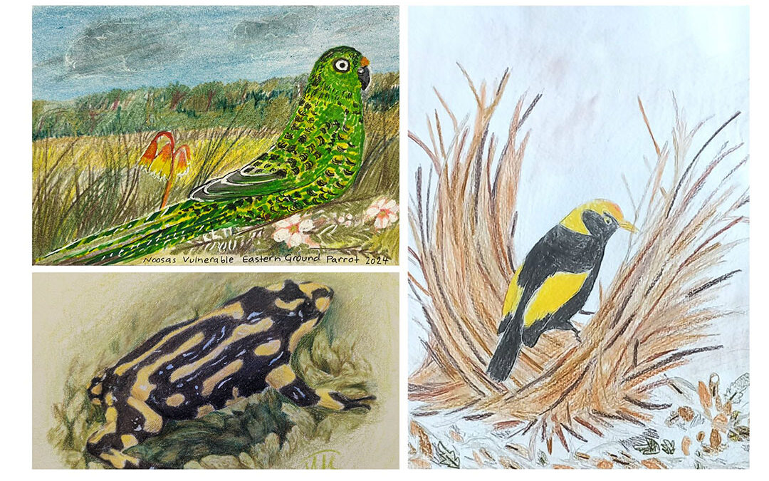 Children’s art goes wild at Maroochy Botanic Garden