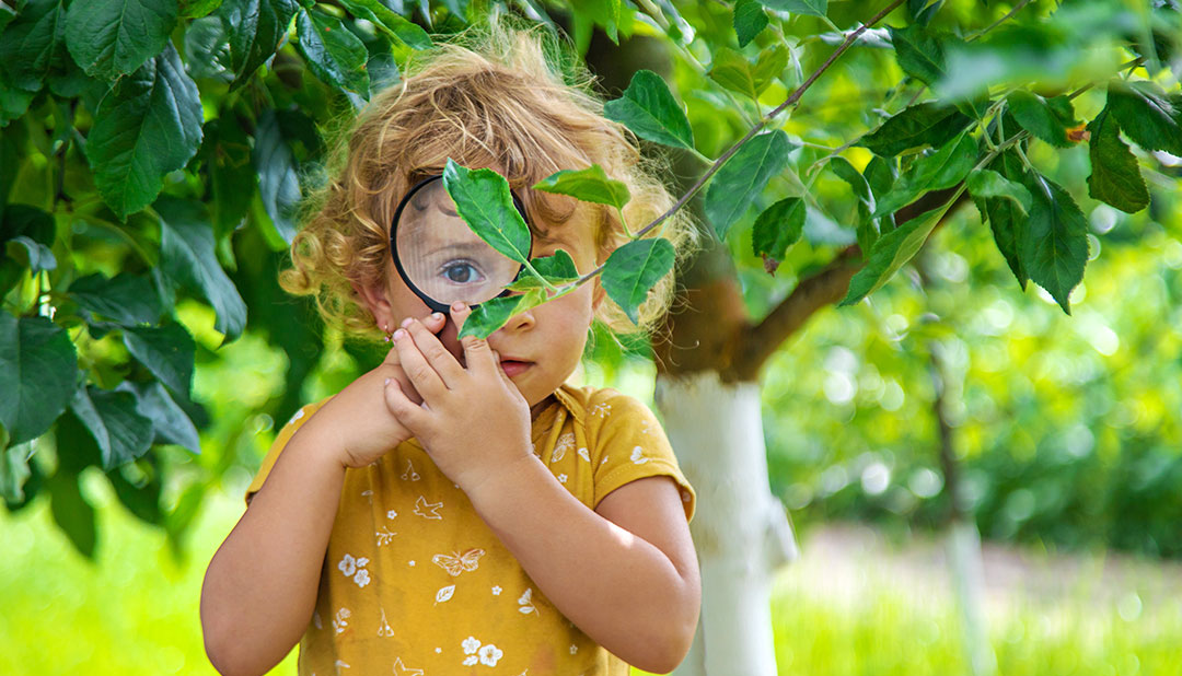 The early learning and Kindy service building bright futures in Mooloolah Valley