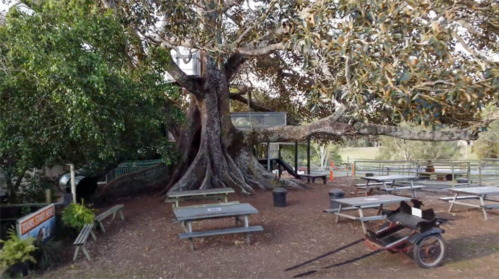 Multi-storey Treehouse Playground and Shaded Picnic Area at Trevena Glenn Farm, Brisbane.