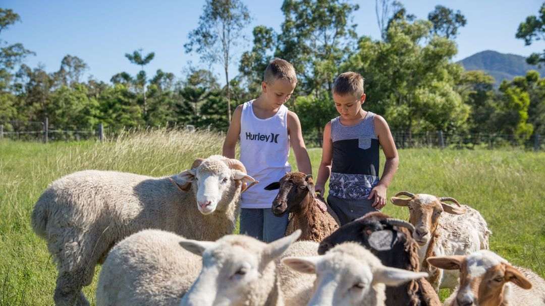 Profile: Trevena Glen Farm