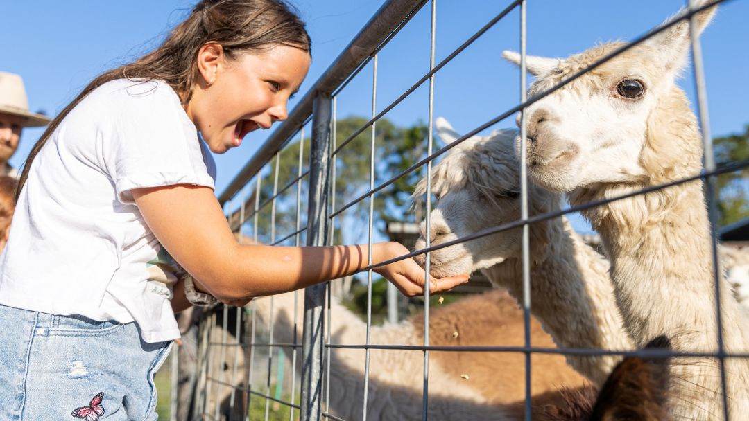 Profile: Trevena Glen Farm