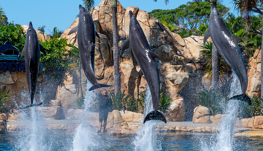 The best Gold Coast animal encounters for kids