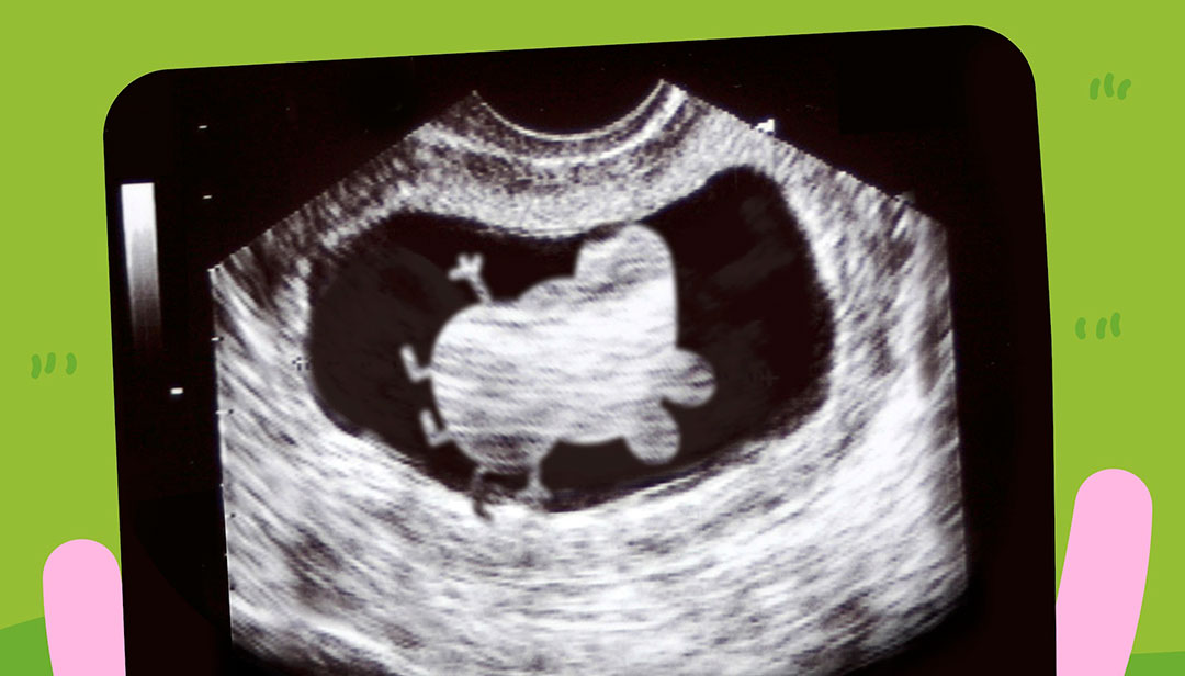 PIG news for Peppa Pig fans, there is a BABY PIG on the way!