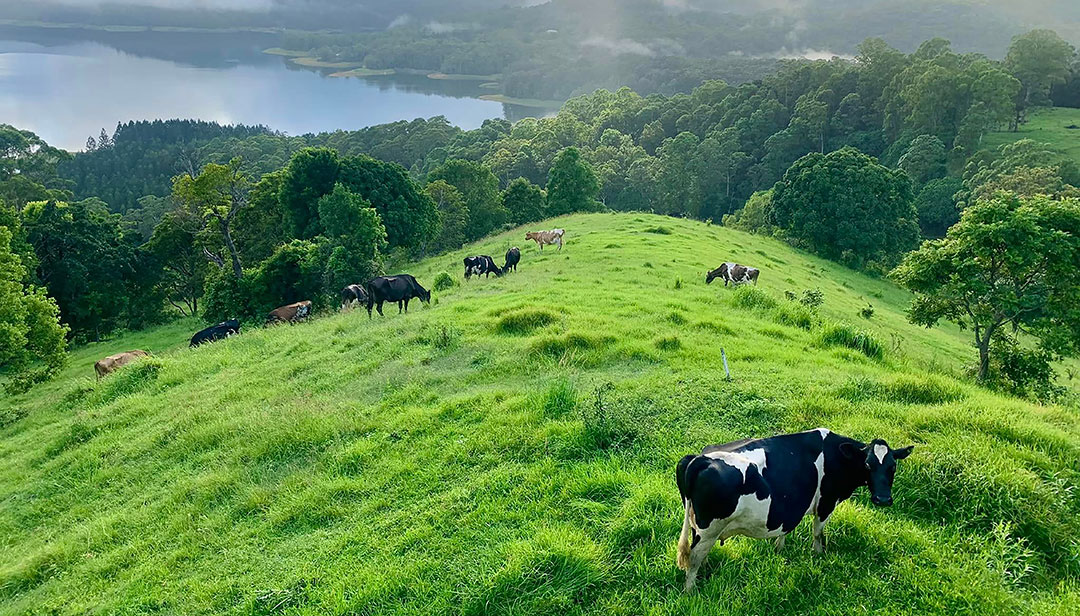 25-best-things-to-do-in-brisbane-with-kids