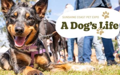 A Dog’s Life 2025