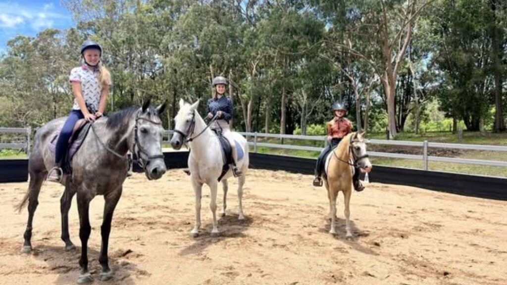 School Holiday Horse  Pony Fun Days