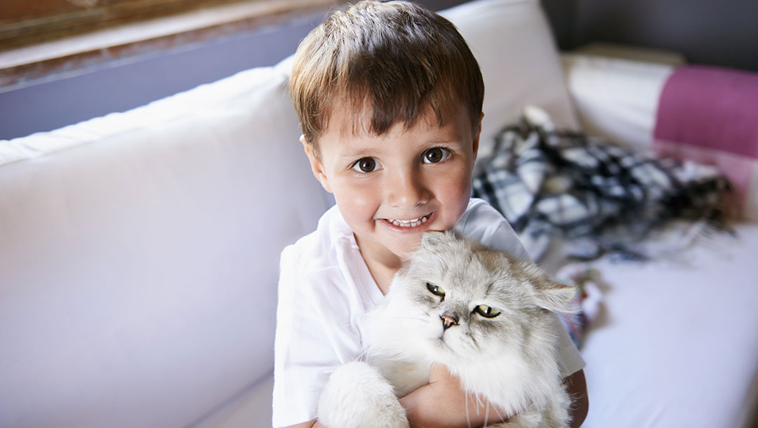 How to create a safe and fun backyard haven for your cat!