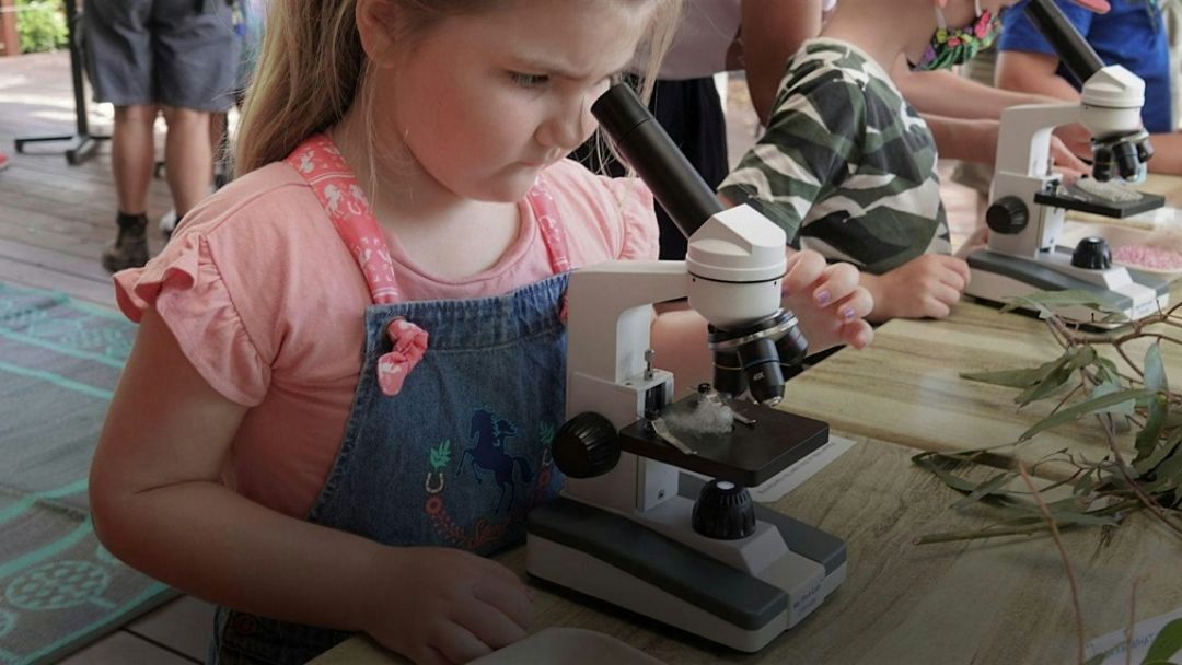Naturallygc Winter School Holiday Program