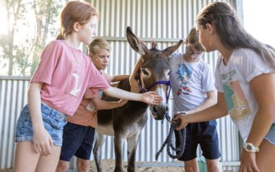 Winter School Holiday Activities at Trevena Glen