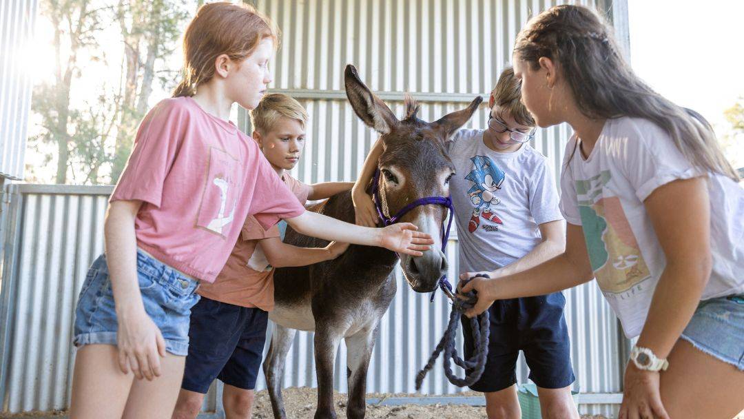 Winter School Holiday Activities at Trevena Glen