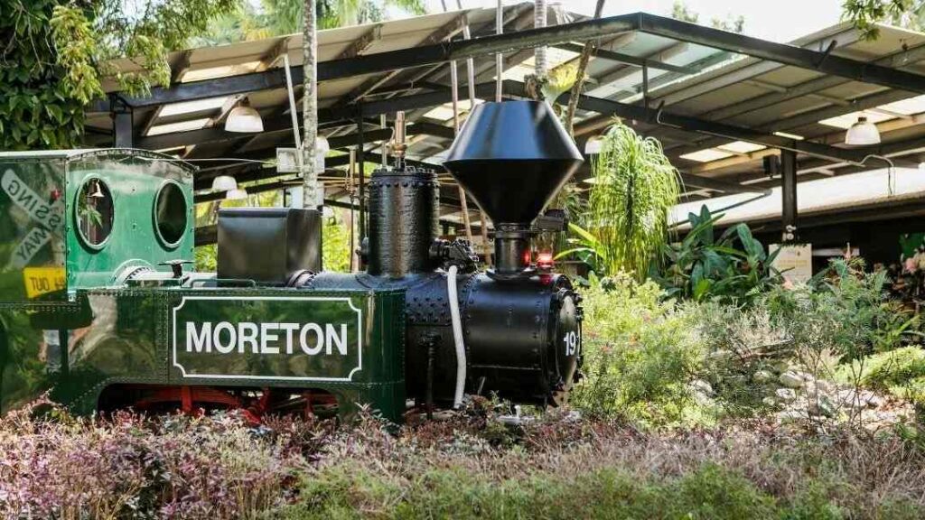 School Holiday Adventures Are Coming to the Ginger Factory