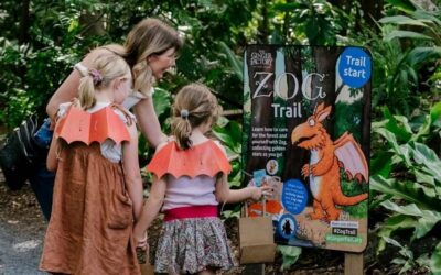 School Holiday Adventures are Coming to The Ginger Factory!