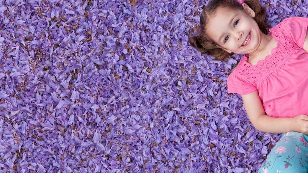 Goodna Jacaranda Festival