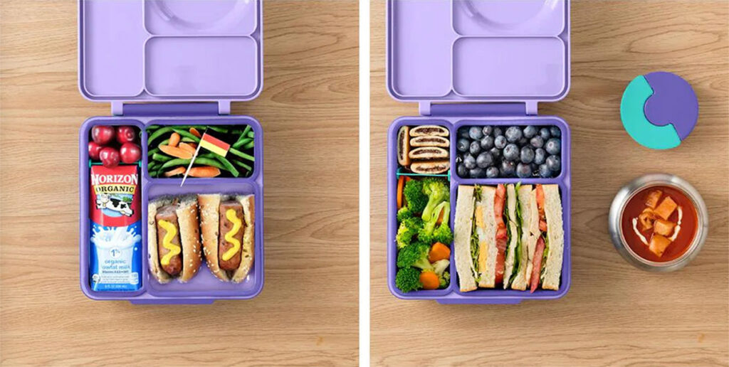 Omiebox Hot  Cold Bento Box from Coastal Kidswear