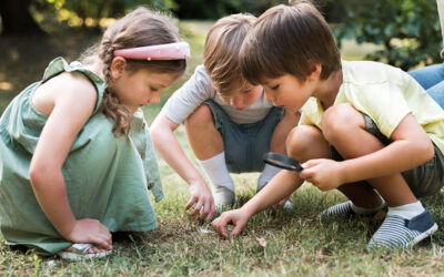 Rewild your child at this Sunshine Coast Wilderness School